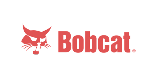 Bobcat